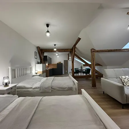 Vila Frana Apartman 3 * Ceske Budejovice