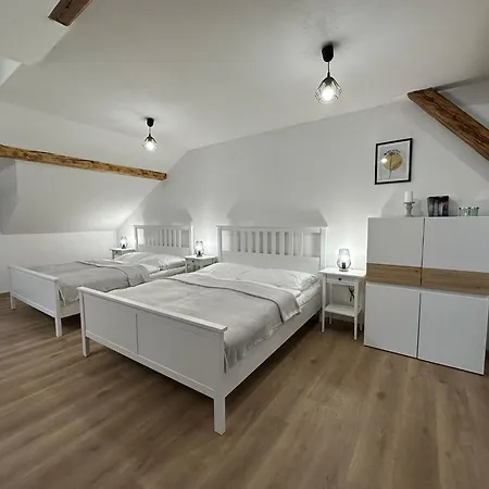 Vila Frana Apartman 3 Apartment *