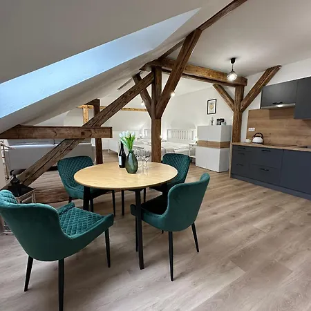 Vila Frana Apartman 3 * Ceske Budejovice